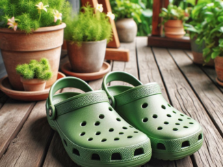 Do Crocs Have Nutritional Value? 2 - whitechaco.com